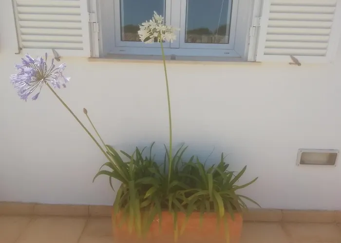 Abatzer * 시우타데야