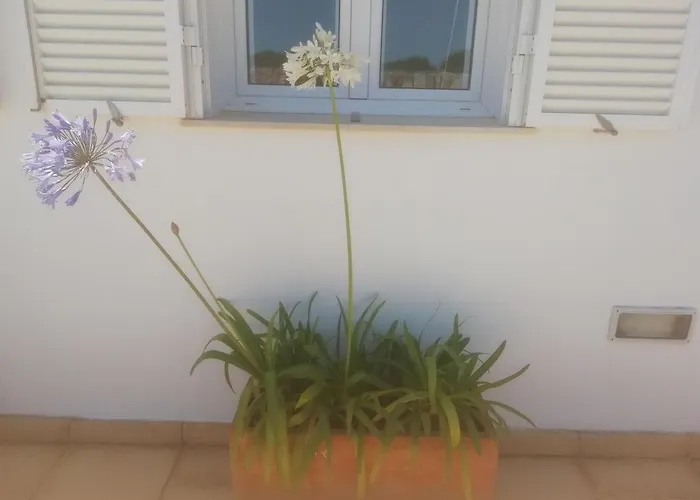 Abatzer Ciutadella (Menorca)